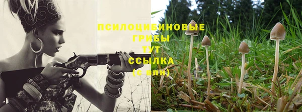 меф Богородицк