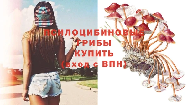 таблы Богданович